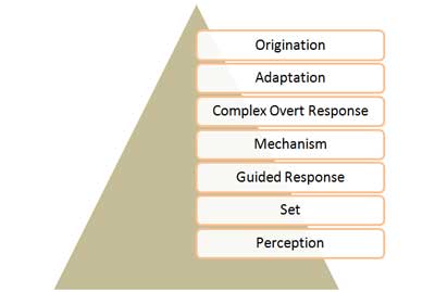 Bloom's Taxonomy: Psychomotor Domain