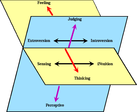 Carl Jung Type Indicator