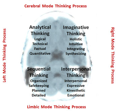 Whole Brain Thinking