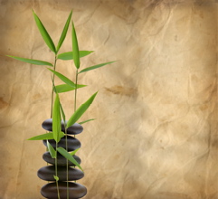 Zen of Mentoring
